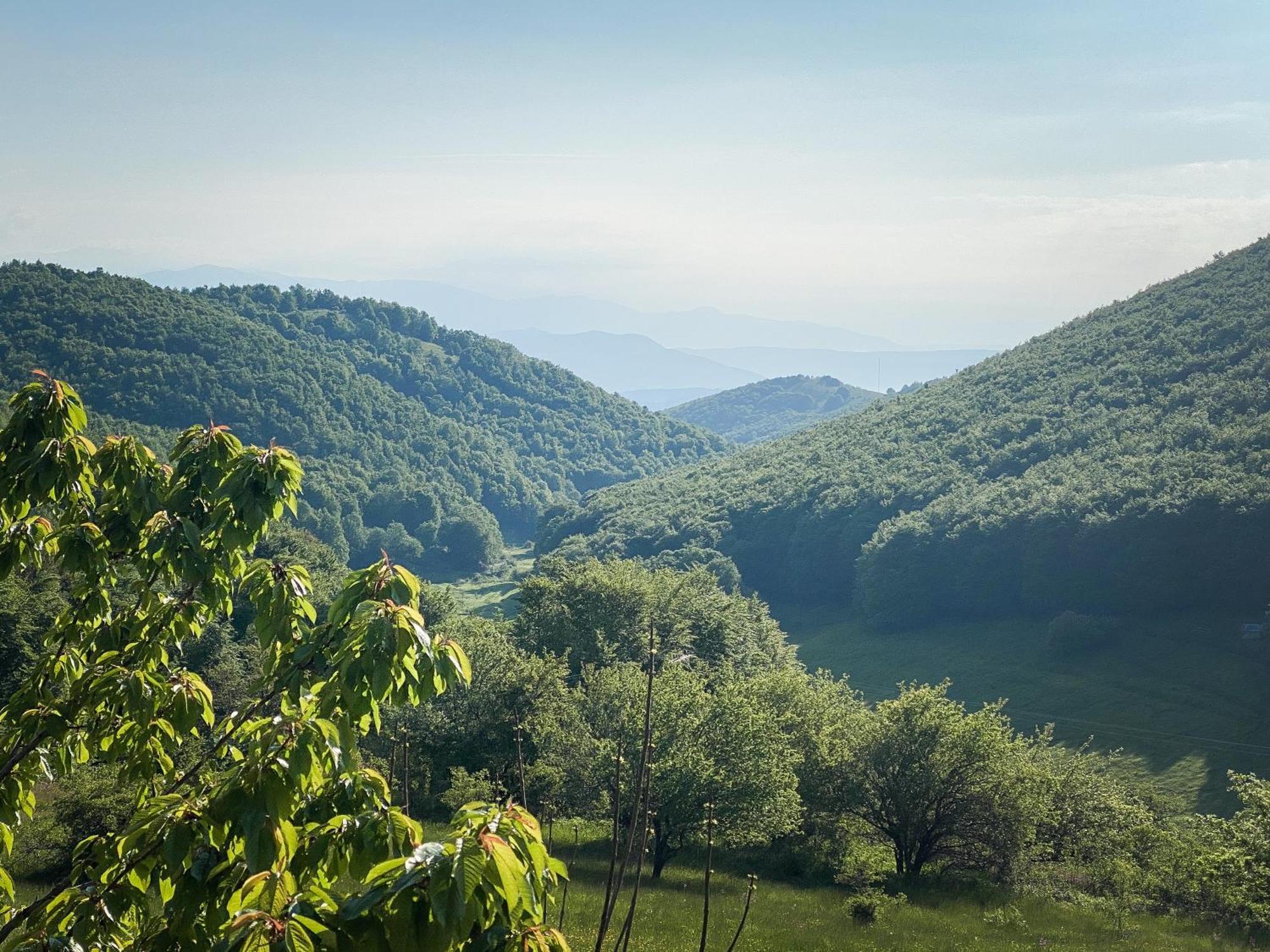 Villa Arcturia Nimfaíon Dış mekan fotoğraf