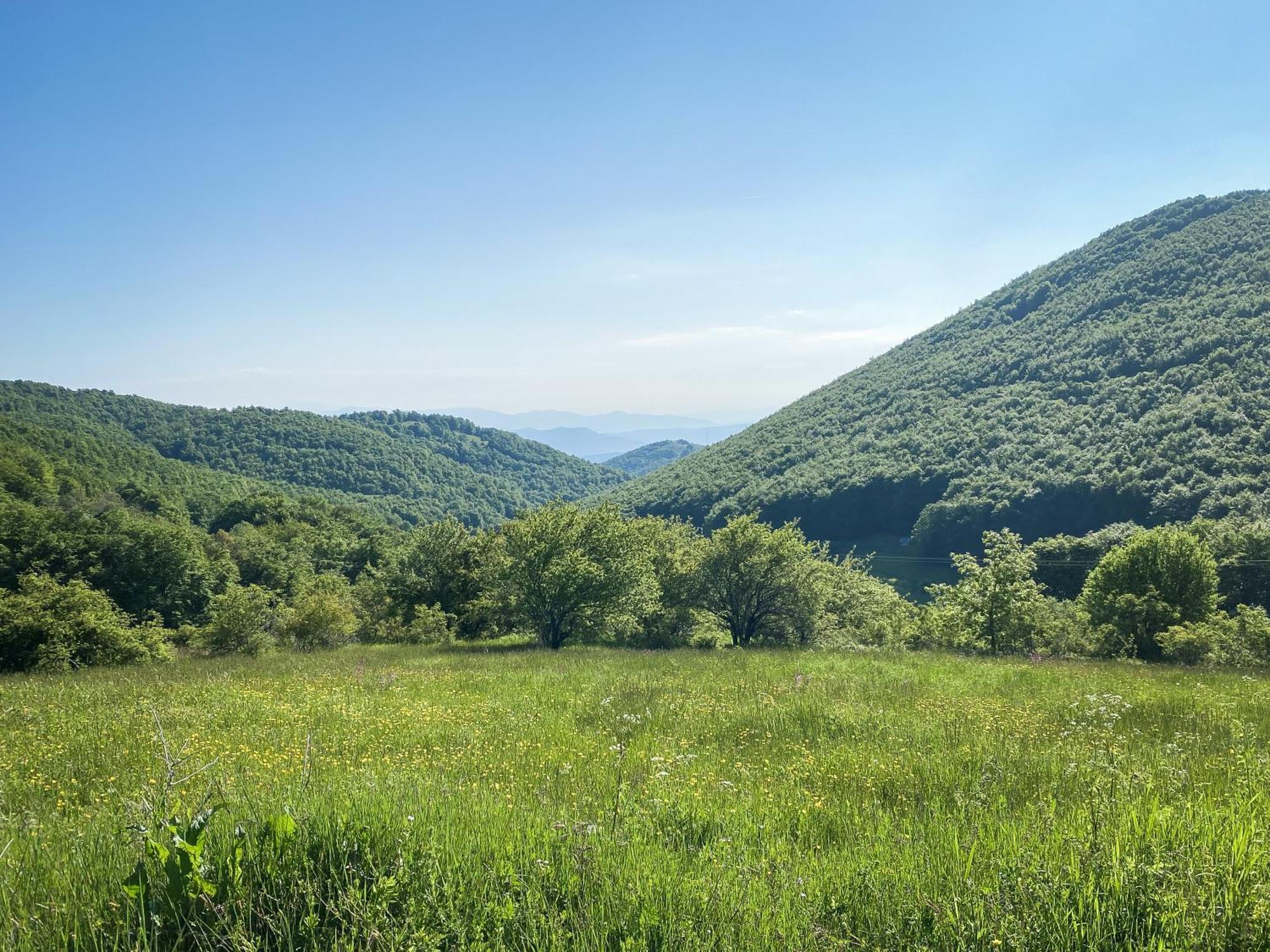 Villa Arcturia Nimfaíon Dış mekan fotoğraf